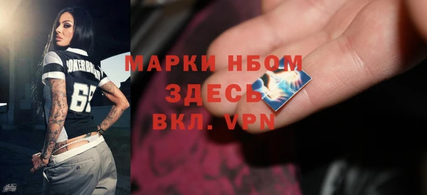 сатива Вяземский