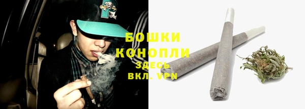 сатива Вяземский
