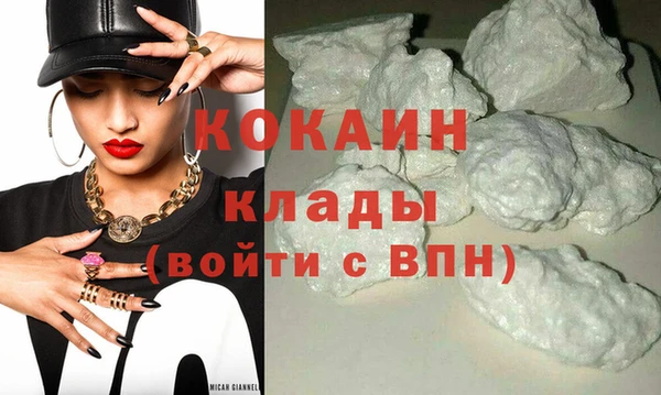 сатива Вяземский