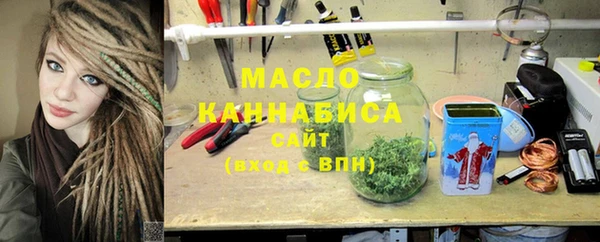 сатива Вяземский
