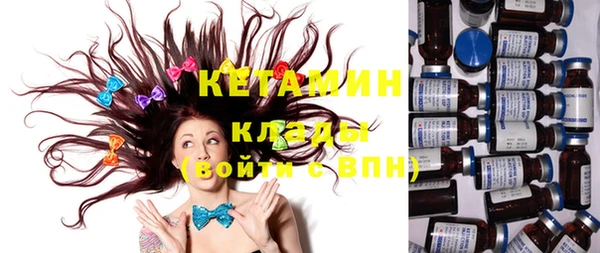 сатива Вяземский