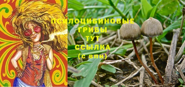 ECSTASY Вязники
