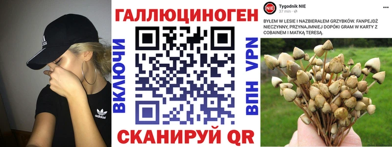 Купить  Ликино-Дулёво  Галлюциногенные грибы ЛСД 